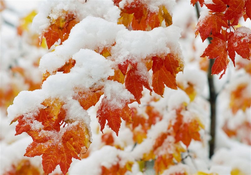 هواشناسی ایران 1404/9/16؛ برف و باران در 23 استان/ هشدار نارنجی برای 17 استان