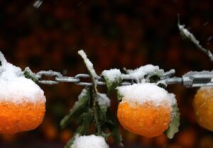 هواشناسی ایران1404/9/19؛فعالیت سامانه بارشی در 24 استان