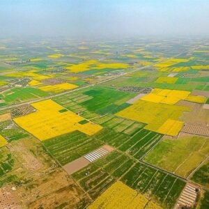 بازپس‌گیری 631 هکتار منابع طبیعی شمال/ 23 هزار هکتار از سواحل و تالاب‌ها سنددار شد