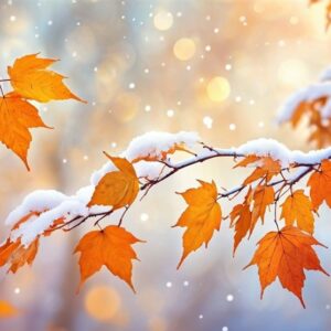 هواشناسی ایران 1404/9/18؛ هشدار نارنجی بارش برف و باران در 20 استان