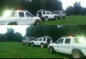 بازی‌های لاکچری آفرودسواران در جنگل‌های هیرکانی/ این جماعت طبیعت بکر شمال را نابود کرده‌اند!