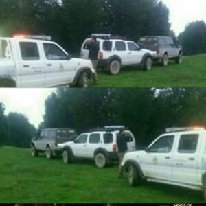 بازی‌های لاکچری آفرودسواران در جنگل‌های هیرکانی/ این جماعت طبیعت بکر شمال را نابود کرده‌اند!