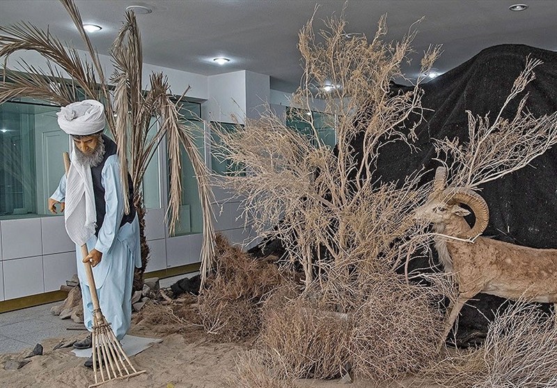 اخبار زاهدان ,