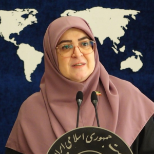 سخنگوی دولت: چرا باید بنزین با قیمت 60سنت را با نرخ 1500تومان عرضه کنیم؟/ اصلاح قیمت آغاز شد‌