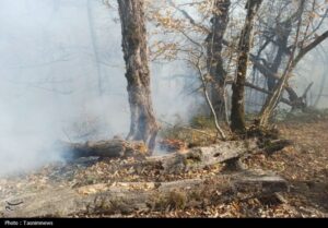 گزارش مجلس درباره علل آتش سوزی جنگل هیرکانی منطقه الیت