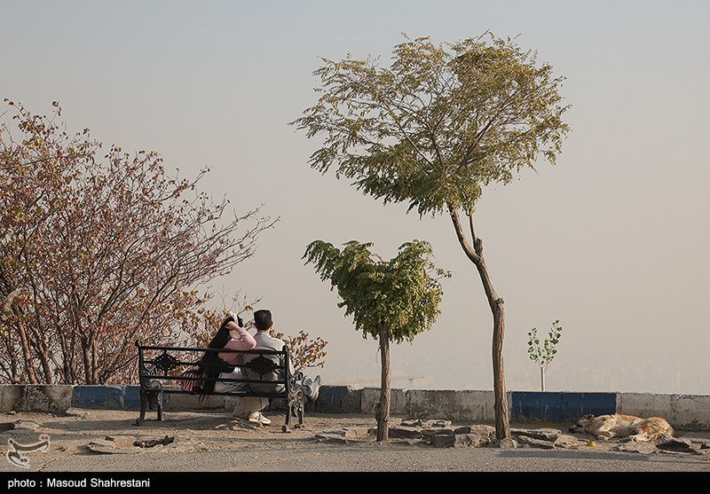 تصمیم‌های دودآلودتر از هوای تهران؛ طرح زوج‌وفرد چگونه یک‌شبه اعلام و لغو شد؟