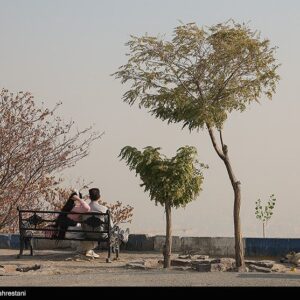 تصمیم‌های دودآلودتر از هوای تهران؛ طرح زوج‌وفرد چگونه یک‌شبه اعلام و لغو شد؟