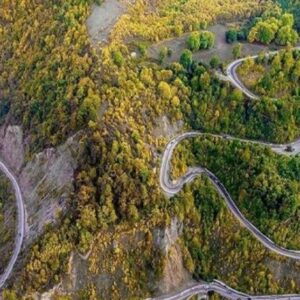 هیاهوی آفرودسواران و شلیک شکارچیان بر قلب جنگل‌ هیرکانی/ تورهای گردشگری هم قوزبالاقوز شد!