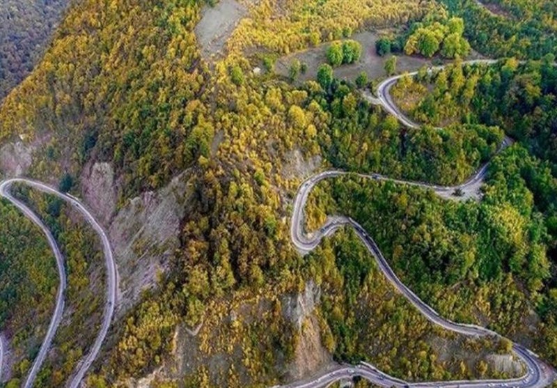 هیاهوی آفرودسواران و شلیک شکارچیان بر قلب جنگل‌ هیرکانی/ چه کسی پاسخگوست!