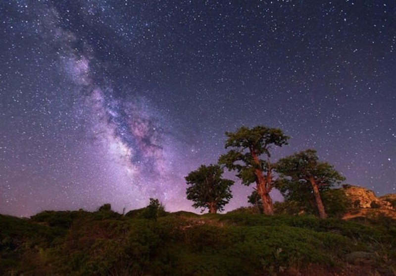 اخبار استان گلستان , نظام مسائل استان گلستان , جنگل های هیرکانی , نظام مسائل استان ,