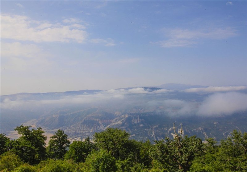 اخبار استان گلستان , نظام مسائل استان گلستان , جنگل های هیرکانی , نظام مسائل استان ,