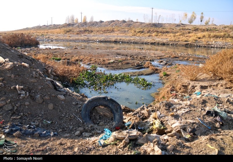 اخبار استان کرمانشاه , اخبار کرمانشاه , آلودگی های زیست محیطی , 