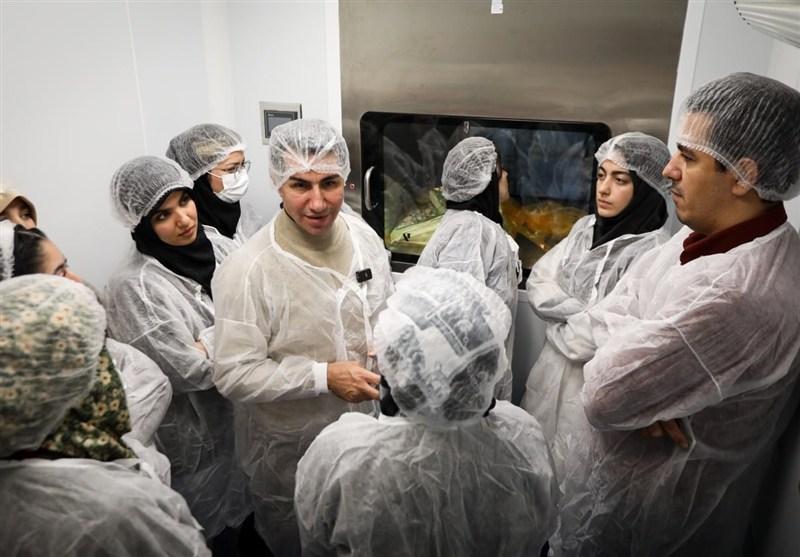 ستاد ویژه توسعه فناوری نانو , فناوری نانو , ستاد توسعه فناوریهای نانو و میکرو ,