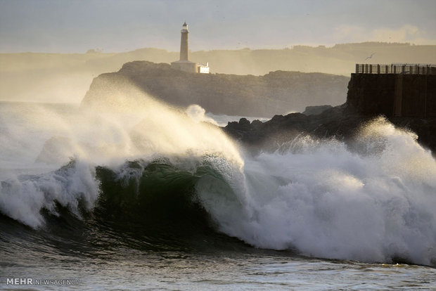 موج قدرتمند در تنریف اسپانیا ۴ کشته برجای گذاشت