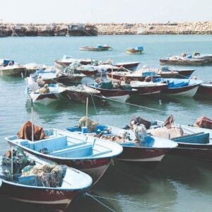 ۲۰ فروند شناور صیادی متخلف در خوزستان توقیف شد