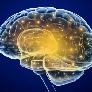 آزمایش «کلاهخود خدا» رد ادعای الهیاتی پرسینگر