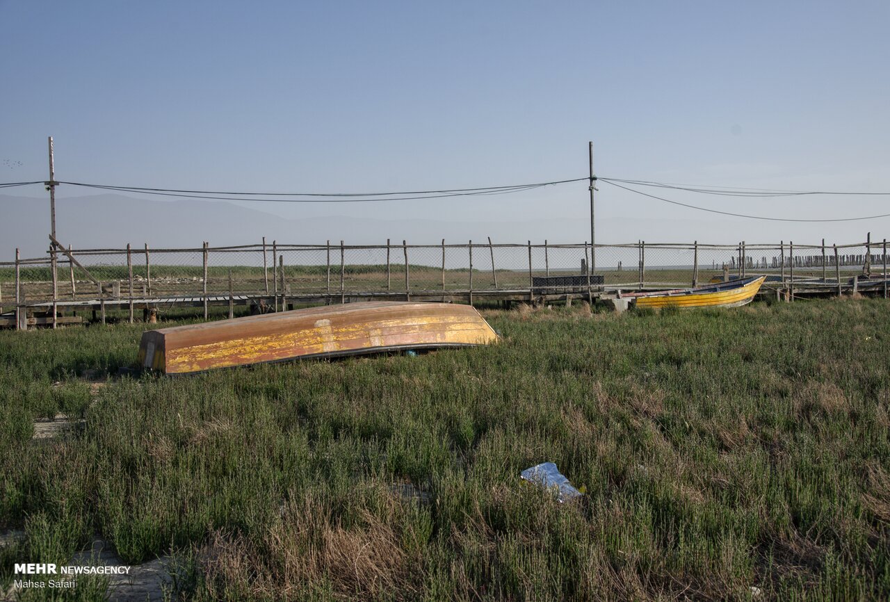 خلیج گرگان درآستانه فروپاشی اکولوژیک؛نفس‌خلیج ایرانی خزربه شماره افتاد