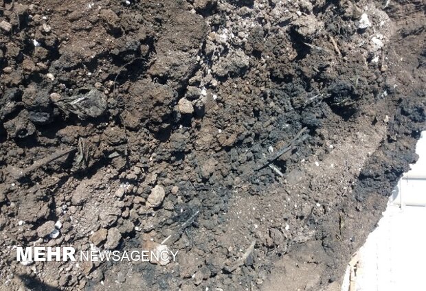 گل‌علیزاده: خاک‌های آلوده به مازوت در قمیشلو به زودی پاکسازی می‌شود