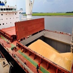 چابهار؛ دروازه راهبردی ورود گندم با نظارت سختگیرانه و کنترل کیفیت