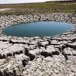 اختری:کسری مخزن دشت تربت‌جام از ۱۴۶ به ۱۱ میلیون مترمکعب کاهش یافت