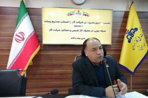 ورود موج سرما به خراسان جنوبی؛ احتمال اعمال محدودیت‌ انرژی برای صنایع