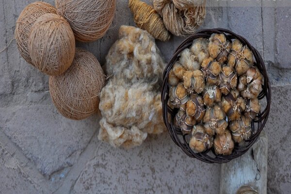 راز پنبه قهوه‌ای خوسف؛ میراث ۵۰۰ ساله در دور باطل نخ ریسی گرفتار شد