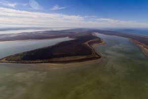 اسماعیلی: ۲۰ هزار هکتار از تالاب میانکاله خشک شده است