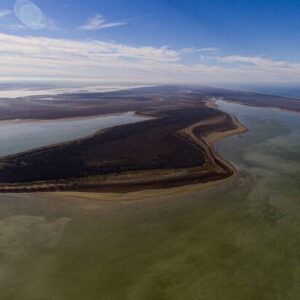 اسماعیلی: ۲۰ هزار هکتار از تالاب میانکاله خشک شده است