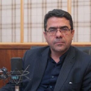 بخش اعظم نوسانات بازار ارز حاصل عملکرد شرکت نیکو و اتاق بازرگانی است