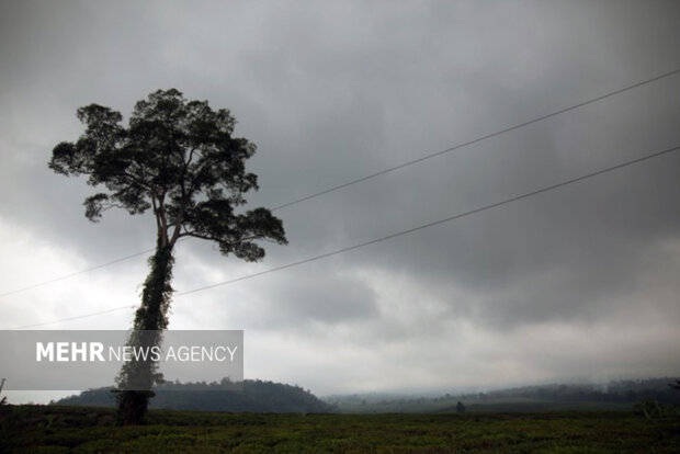 هوای مازندران ابری؛ کندوان بسته است