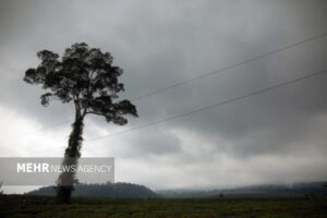 هوای مازندران ابری؛ کندوان بسته است
