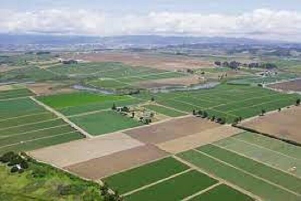 مدیرکل منابع طبیعی بوشهر: سند حدنگاری  ۹۹ درصد اراضی ملی استان ثبت شد