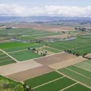 مدیرکل منابع طبیعی بوشهر: سند حدنگاری  ۹۹ درصد اراضی ملی استان ثبت شد