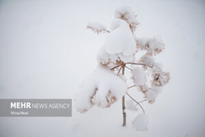 پوشش برفی حوضه‌های آبریز آذربایجان غربی به ۱۰!هزار کیلومتر مربع رسید