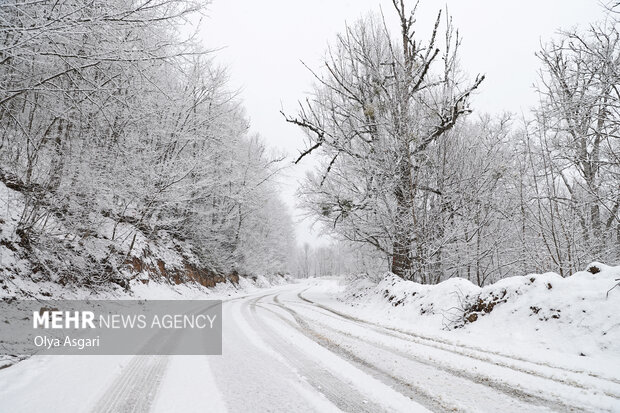 آماده باش آذربایجان غربی در پی بارش برف؛ جاده ها مه آلو و لغزنده هستند