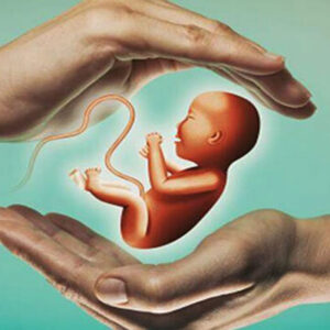 شعار فرزند کمتر، زندگی بهتر، بر الگوهای فرزندآوری اثر گذاشته است