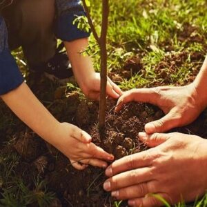 اعلام فراخوان پویش مردمی نهال‌کاری روز دانشجو در سنندج