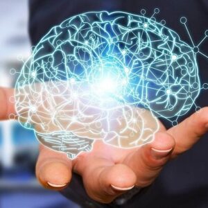 چشم‌انداز تازه در رویکردهای علوم شناختی و اعصاب