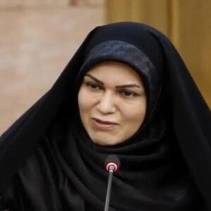 خدادادی: کاهش بودجه فرهنگ  باعث تضعیف نفوذ نرم بین‌المللی خواهد شد