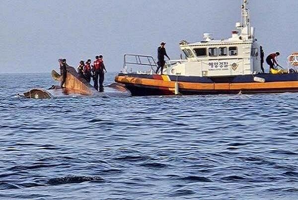 حادثه واژگونی قایق ماهیگیری در کره جنوبی