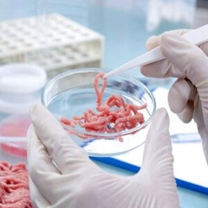 کشف و امحای مقادیر قابل توجه آلایش دامی تاریخ‌گذشته در سنقر و کلیایی