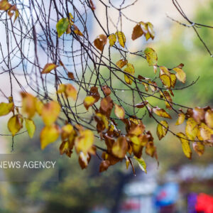 صابری: هوای آذربایجان غربی برفی می شود؛ تداوم بارشها تا پایان هفته