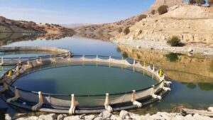 سد کشاورزی مجن ظرفیتی برای شیلات؛ شرایط میدانی بررسی شد