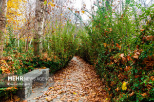 هوای مشهد سالم است