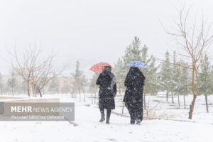 سیلاب و کولاک ۱۳ استان را درگیر کرد