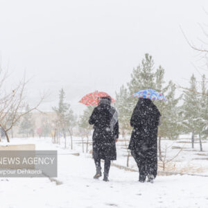 سیلاب و کولاک ۱۳ استان را درگیر کرد