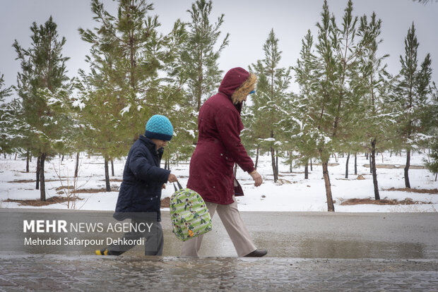 ارغوانی: اواسط هفته جاری کاشان یخ می‌بندد