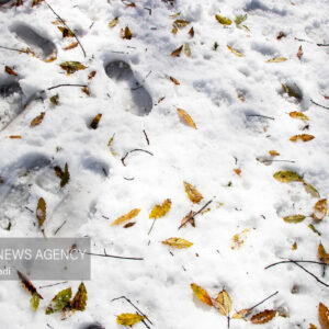 تصاویری از برف پاییزی در شهرستان درگز