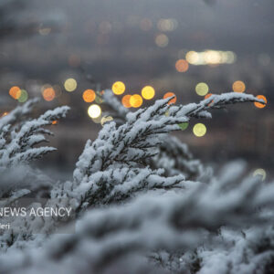 هشدار هواشناسی به ۲۵ استان؛ خسارت به محصولات کشاورزی با تشدید بارش‌ها
