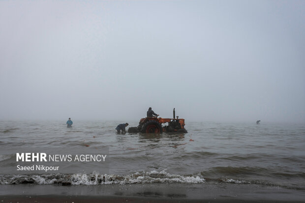 حال خوش صید و صیادی در مازندران